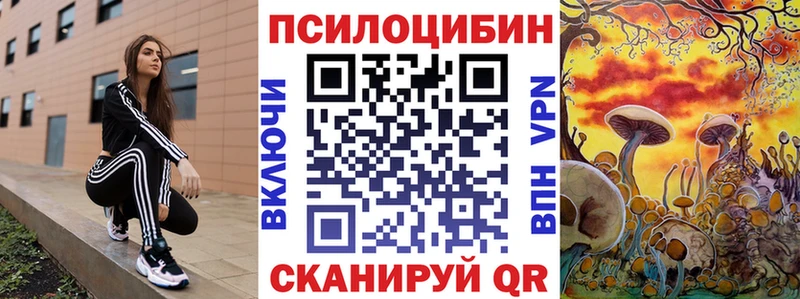 Купить  Берёзовский  Псилоцибиновые грибы мухоморы 